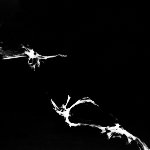 NightWave Luminous 9034