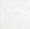 CharmingTrace 7001